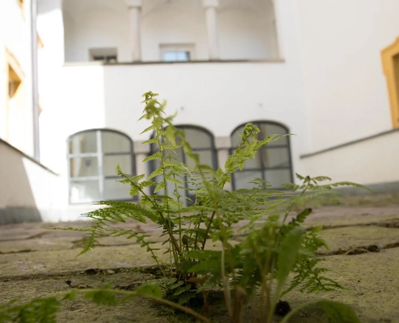 Hotel Wilder Mann Passau