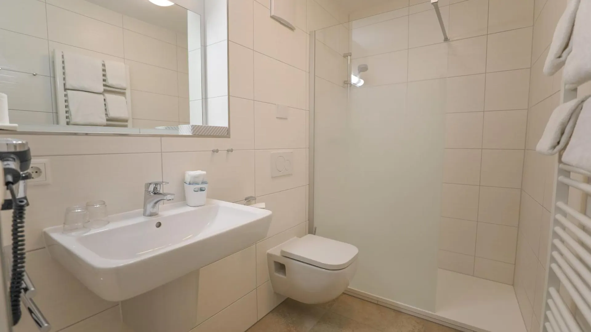 Hotel Wilder Mann Pasov