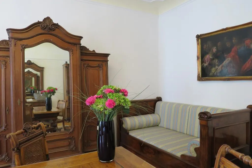 Hotel Wilder Mann Pasov 4*,