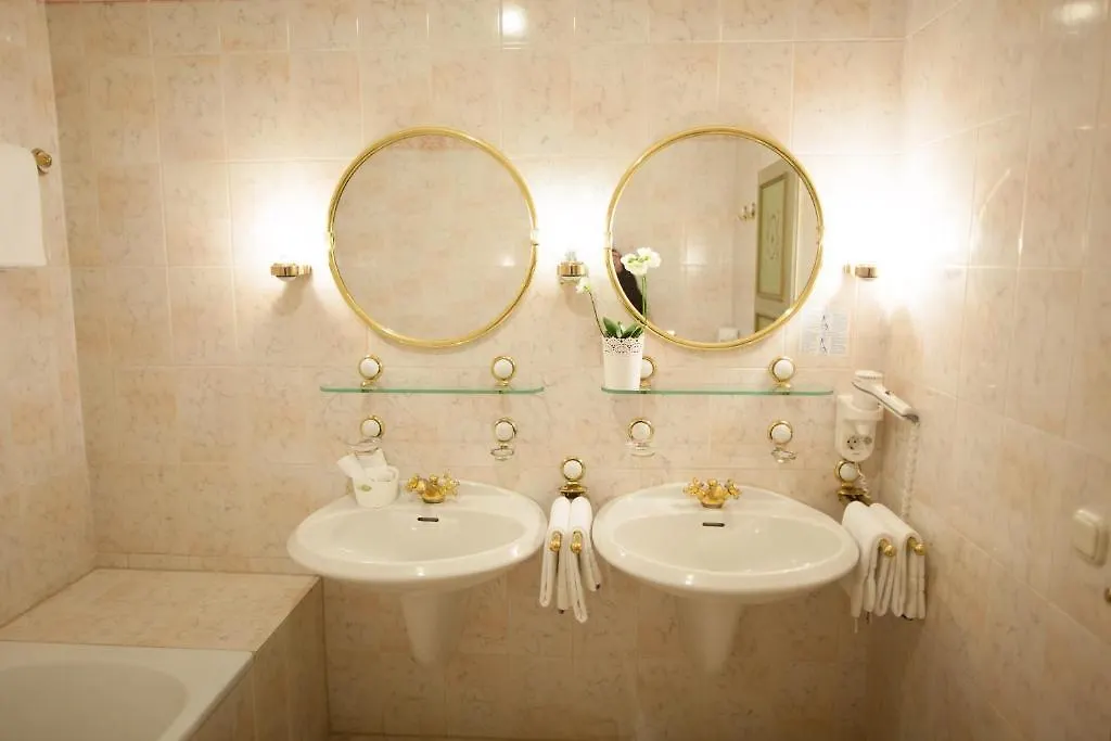 Hotel Wilder Mann Pasov 4*,